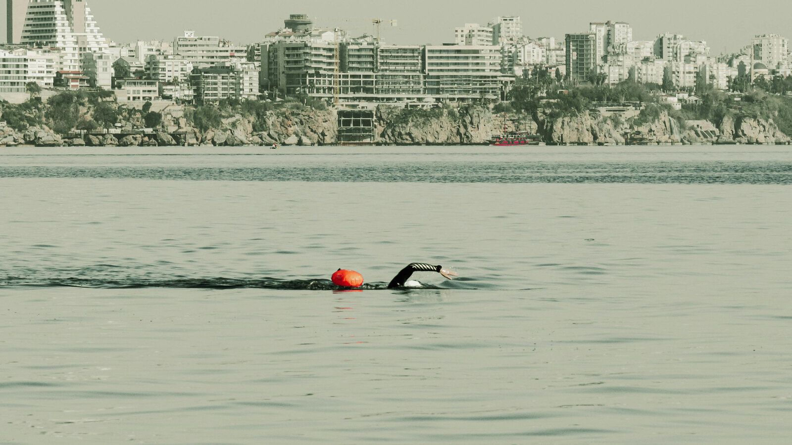 Lone open water swimmer in green water with a city behind