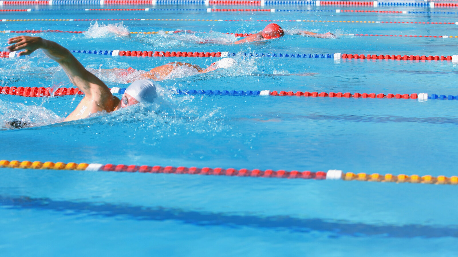 Swimmer racing freestyle in a marked pool lane