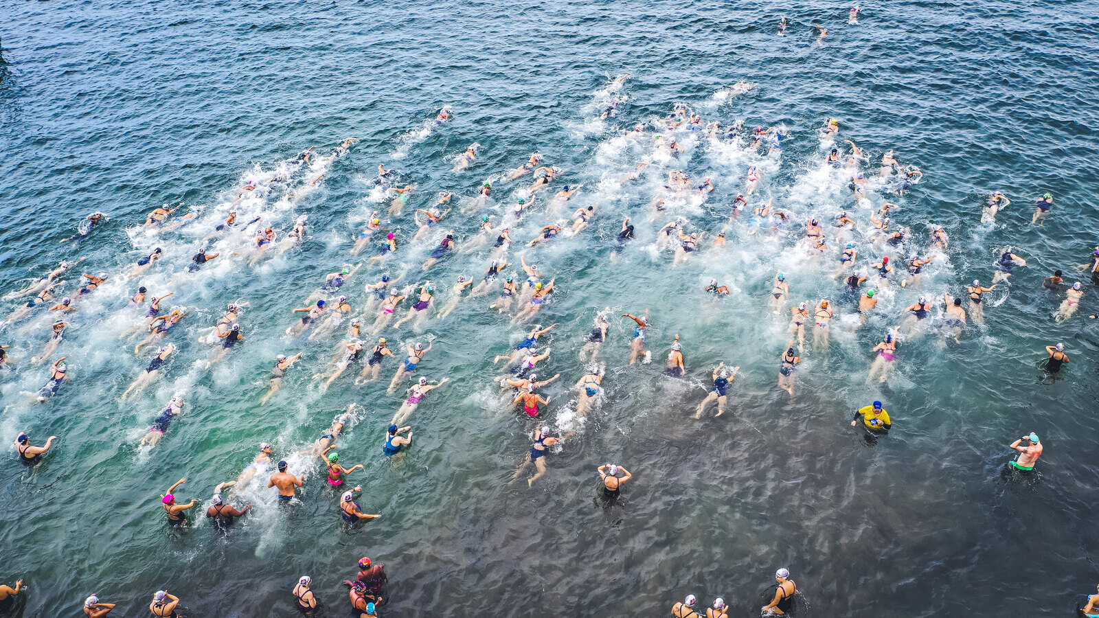 Mass swim start with a large field churning the water